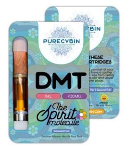 Buy Purecybin DMT Cartridges Vape – 1ml – 700mg
