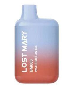 Lost Mary