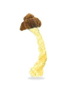 Vietnamese Magic Mushrooms